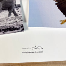 Custom Printed Cards with White Envelopes.  Upload Your Own Images