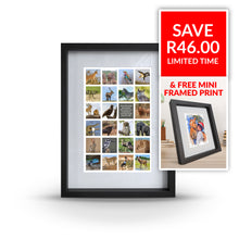 Large Frame_24 Square Images